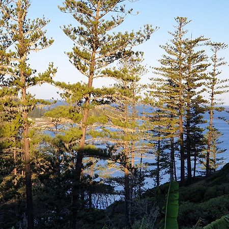 Shearwater Scenic Villas Бернт Пайн Екстериор снимка