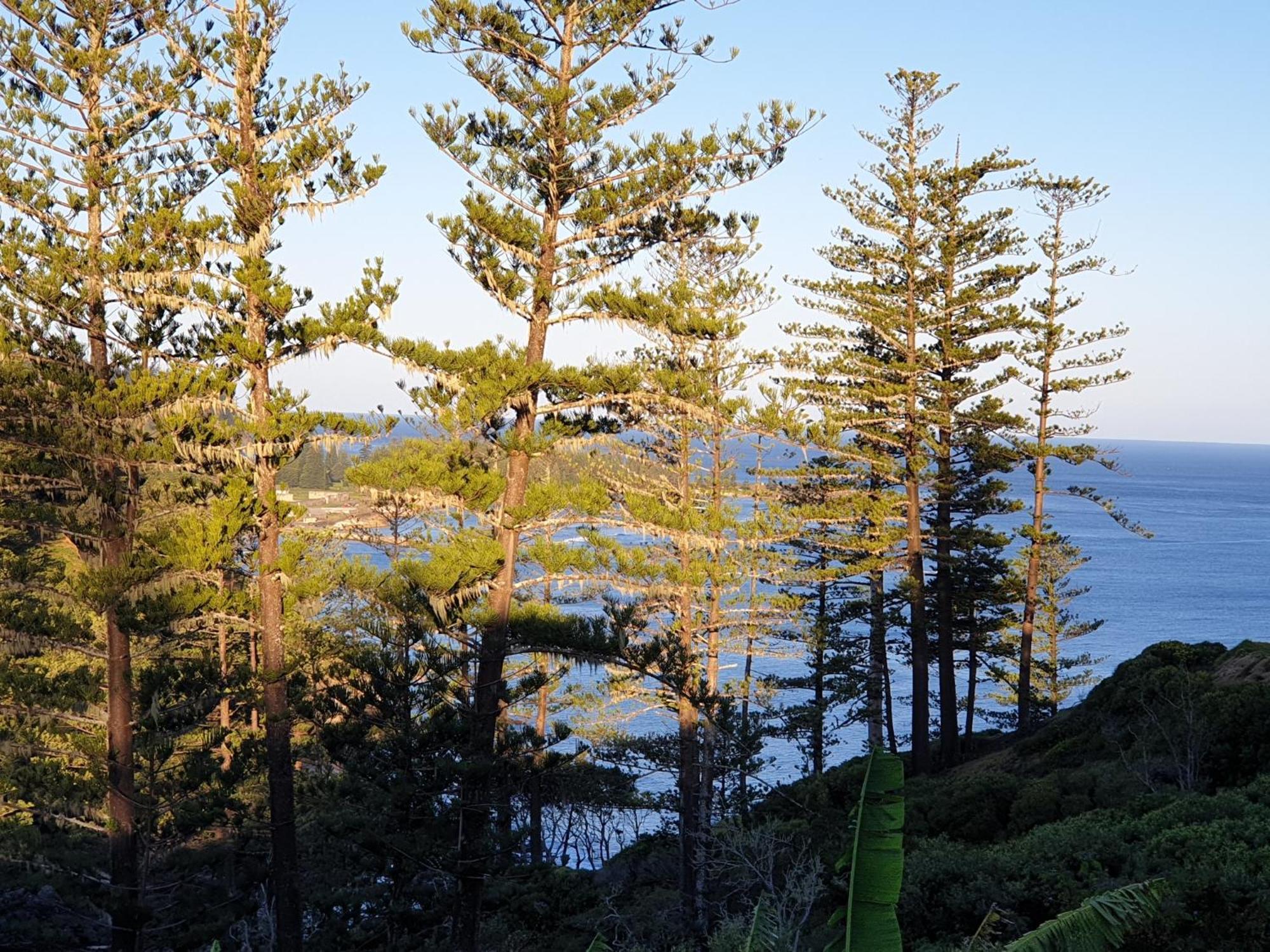 Shearwater Scenic Villas Бернт Пайн Екстериор снимка